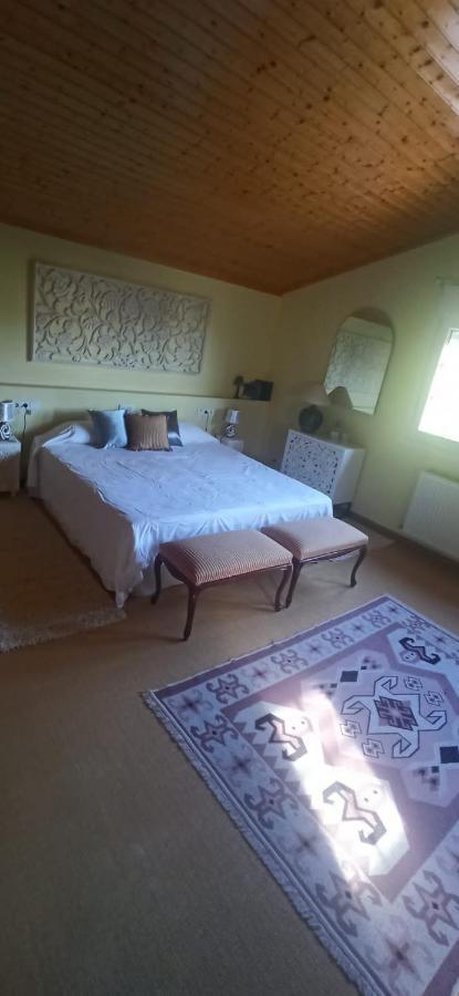 Vivienda El Olivo con piscina privada y jardín. Ayegui Exterior foto
